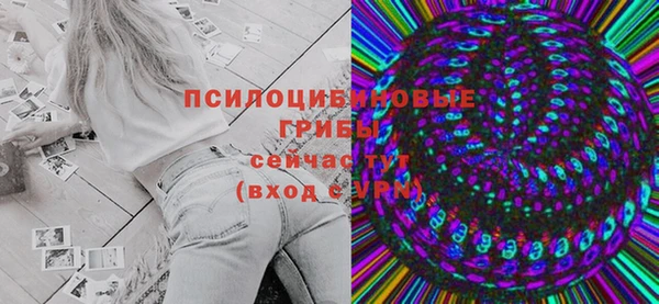 a pvp Богородицк