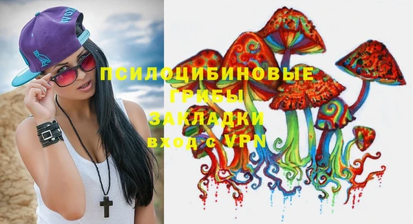 a pvp Богородицк