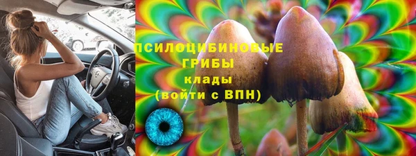 a pvp Богородицк