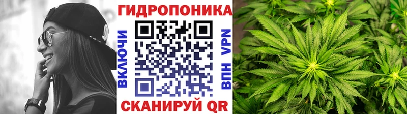 Конопля OG Kush  Купить где  Коломна 